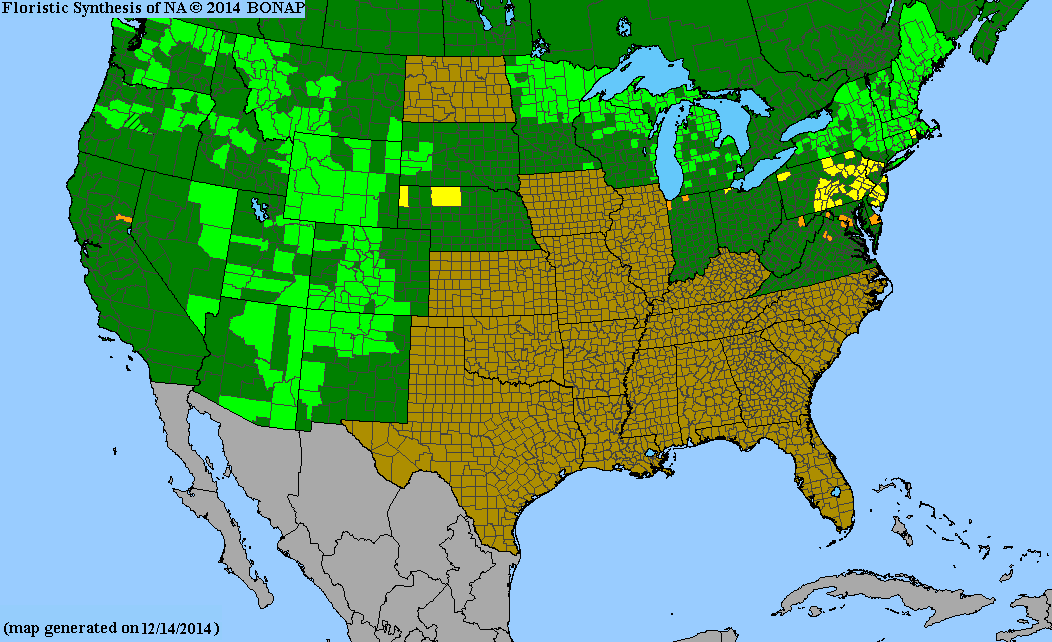 County distribution map of Pyrola chlorantha - Green-Flower Wintergreen